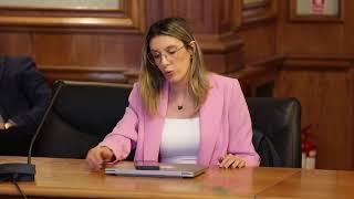 PSD vrea să blocheze noul Cod Silvic în Comisia Juridică a Camerei Deputaților