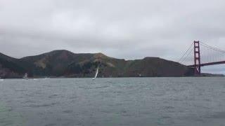 2016 (Bay Voyager) Humback Whale strikes Sailboat near Golden Gate Bridge, San Francisco