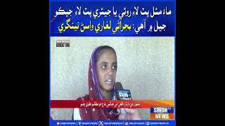 Maa moail put laay royi ya jeeri put laay jeko jail mein aahe: Bajrani Laghari wasan Ningri