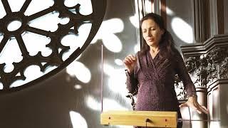 Anca Bold Martin - Schubert AVE MARIA - theremin