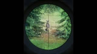 Virtual hunting games provide thrill without harming real animals  #virtualhunting #gamingfun