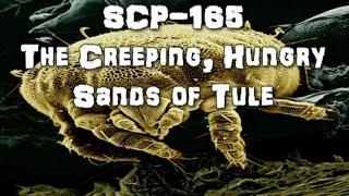 SCP-165 Creeping, hungry Sands of Tule | object class keter