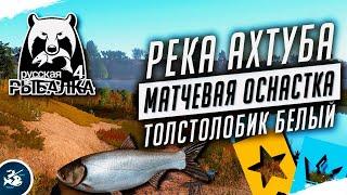 Русская Рыбалка 4 — Стрим. Река Ахтуба, ловля Матчевой оснасткой.