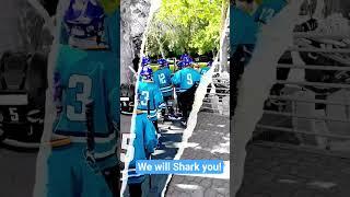 Sharks are on the way! (2025.05.10-11. VII. Tüskekupa, in SJSharks)