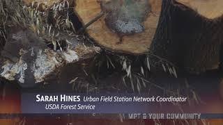 MPT & Your Community: The Urban Wood Project with Sarah Hines