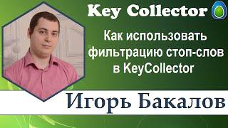 Фильтрация стоп слов в KeyCollector