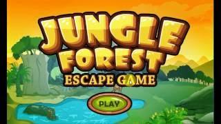 Jungle Forest Escape Game Walkthrough