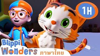 หนวด | Blippi ไทย |  | วิดีโอการเรียนรู้สำหรับเด็ก