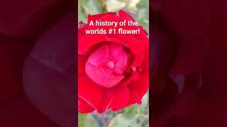 Click lower right corner to see complete episode on my nature education channel!