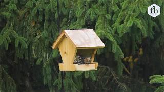 How to Make a Bird Feeder