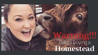 My Warning To All Of You About To Start Homesteading