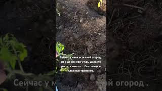 Полив: Палец в землю — лучший индикатор. Сухо на 2 см вглубь? Бери лейку.