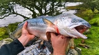 WHOLE SALMON Smoked Over Fire Outdoors | ASMR Cooking in Nature