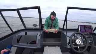 windboat 45 dc evo fish и мое мнение за 3 месяца