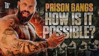 HOW IS IT POSSIBLE??? Prison Gangs