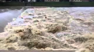 L'Arno alle Cascine oggi .