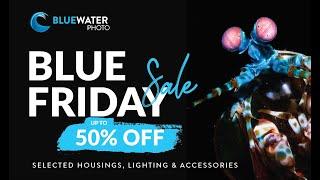 Blue Friday 2023