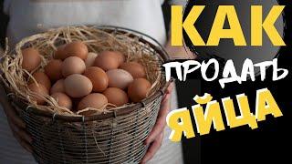 Продажа куриных яиц как бизнес. Как мы продаём яйца.