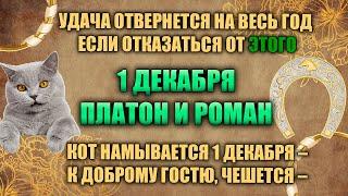 1 декабря. Народный праздник - Платон и Роман. Народные приметы.