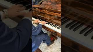 Steinway Piano Gallery ||  Steinway & Sons Macassar Ebony Crown Jewel Collection