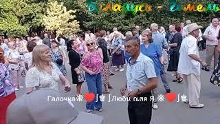 04.08.24г. ВЕСЁЛАЯ КОМПАНИЯ...   Игорь Бефус, Звучит на танцплощадке в Гомельском парке