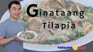 Ginataang Tilapia - Panlasang Pinoy