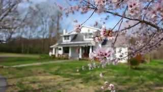 1847 Carters Creek Pk Franklin, TN - House For Sale