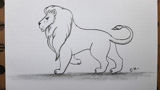 How to Draw Lion Step by Step, Easy Pencil Drawings, Drawing Hobby Animal Drawings