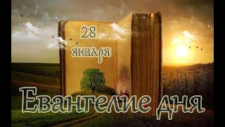 Евангелие дня. Чтимые святые дня. Седмица 33-я по Пятидесятнице. (28 января 2020 года)