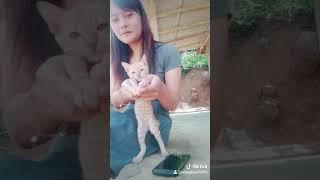 Aku suka body goyang mama muda  #tiktok