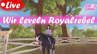 LIVE Wir leveln Royalrebel | SSO |  Server 14 Cherry Swamp