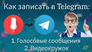 Как отправить голосовое в Telegram | Как отправить видеосообщение в телеграмм