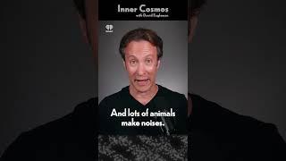 We are surrounded by aliens | INNER COSMOS WITH DAVID EAGLEMAN #shorts