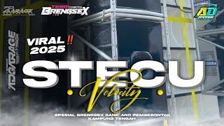 DJ STECU STECU TERBARU 2K25‼️ STYLE DJ PARTY VELOCITY VIRAL TIKTOK 