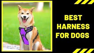 Dog Harness: Best Harness for Dogs Reviews