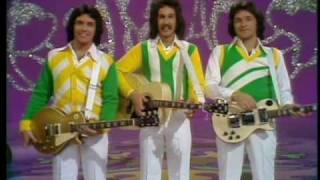The Hudson Brothers - So You are a Star