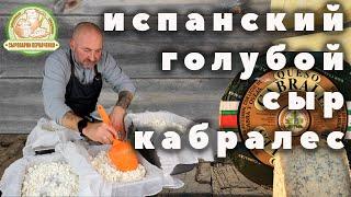 Испанский голубой сыр Кабралес. Рецепт приготовления на сыроварне Перваченко.