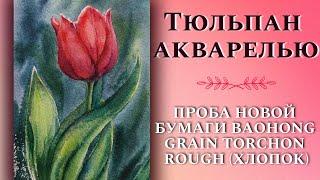 Как  нарисовать ТЮЛЬПАН акварелью ~ How To Draw A Beautiful Tulip In Watercolor