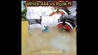 Rock ff Vs White 444