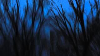THE FOREST OF MY MIND 02.  VACKSBOOK 2016.