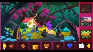 doobee Unprecedented Forest Escape Walkthrough