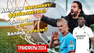 Нистелрой покидает «МЮ» | Виртц и Зидан в Реале?!| Травмы в МанСити | Трансферы и новости футбола!