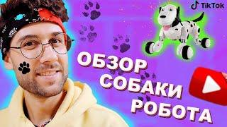 Радиоуправляемая робот-собака. HappyCow smart dog. Распаковка