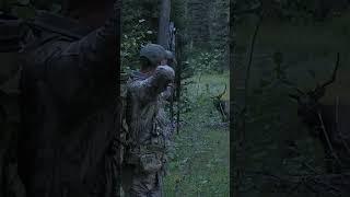 Epic Frontal Archery Elk at 7 Yards!