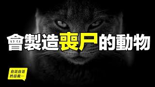 The animals that make zombies: You may be a "zombie" of another animal,you must have seen it before