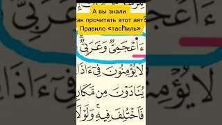 Правило«тасhиль»#islam#tajweed#таджвид#коран#quran#чтениекорана#дуа#махраджи#shorts