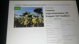 какой гибрид подсолнуха лучший??? сайберик, кадикс и саванна???