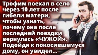 Подойдя к покосившемуся дому, где прошло детство, Трофим замер увидев перед собой Любовные истории