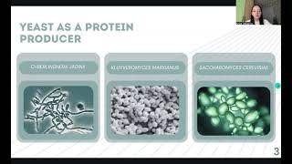 Lomakina Alisa Research work Production of protein products using autolysis of yeast biomass