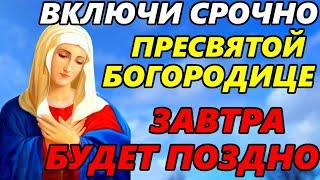 ВКЛЮЧИ СЕЙЧАС ОСОБЫЙ ДЕНЬ БОГОРОДИЦЫ! Сильная Молитва Пресвятой Богородице